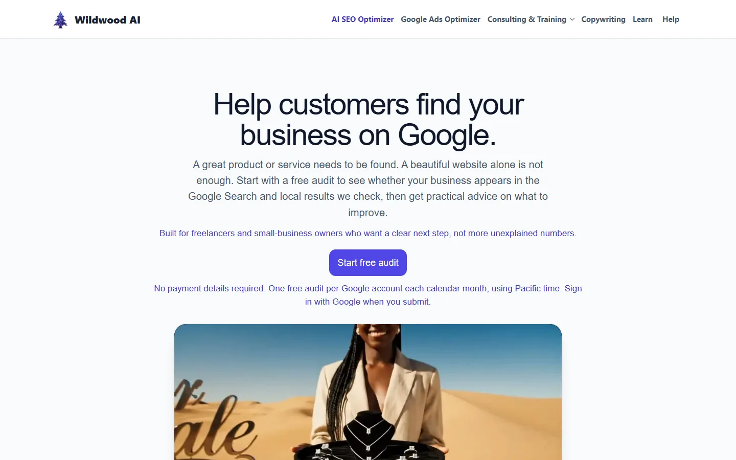 Wildwood AI website audit interface.
